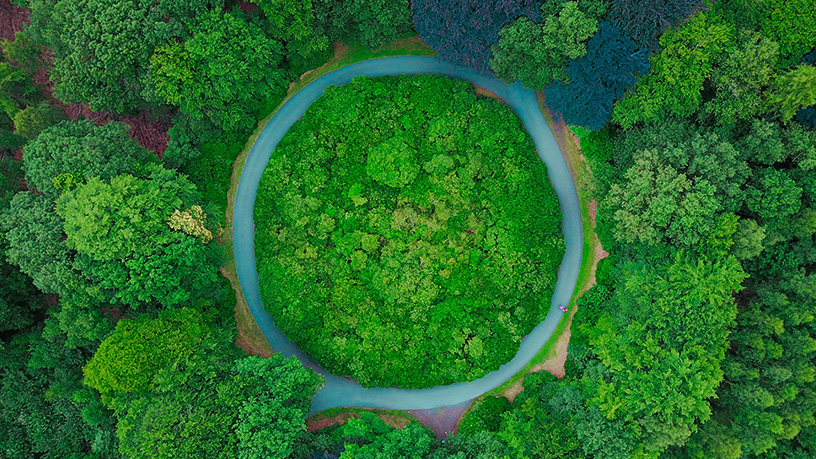 Ein Fluss in einem Wald aus der Vogelperspektive gesehen. Kreiförmig. 