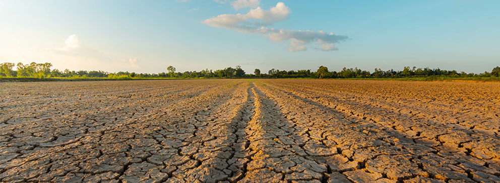 Ausgetrockneter Acker aufgrund des Klimawandels