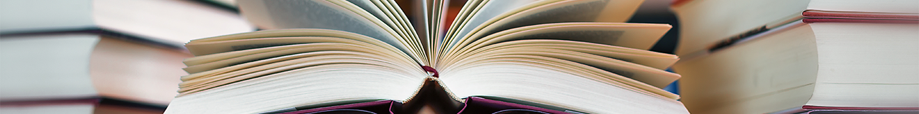 Teaser_Headerbild_Seite DIN-Taschenbücher